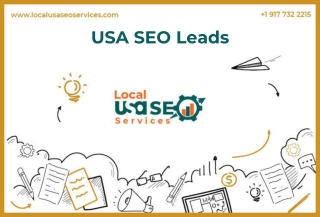 USA SEO Leads