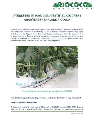 Interested in 100% OMRI-certified cocopeat grow bags Explore RIOCOCO