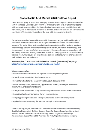 2021 Lactic Acid Industry Global Analysis Report
