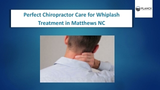 Perfect Chiropractor care