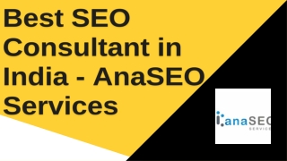 Best SEO Consultant in India - AnaSEO Services