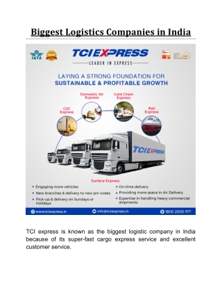 Biggest Logistics Companies in India