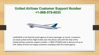 United Airlines Customer Support Number  1-866-579-8033