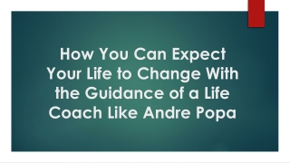 How You Can Expect Your Life to Change With the Guidance of a Life Coach Like Andre Popa