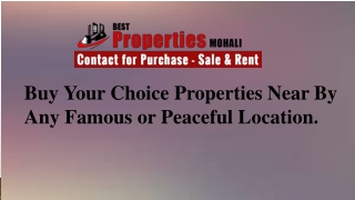 Best properties in Punjab