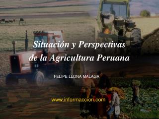 Situación y Perspectivas de la Agricultura Peruana