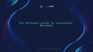 The Ultimate Guide to Salesforce Metadata
