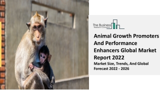 Animal Growth Promoters And Performance Enhancers Market Growth Objectives 2031