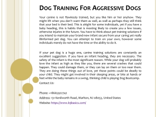 Dog Training For Aggressive Dogs