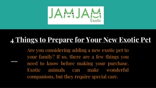 4 Things to Prepare for Your New Exotic Pet