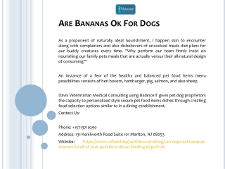 Are Bananas Ok For Dogs