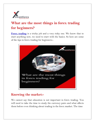 What is the most things in forex trading for beginners