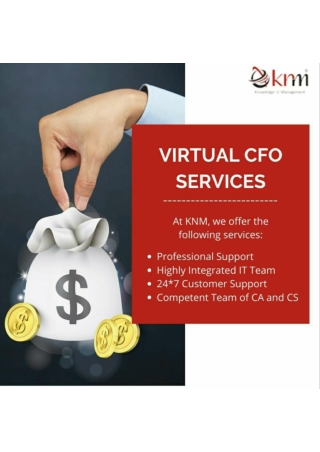 Virtual cfo services