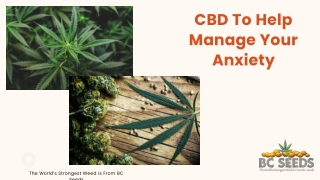CBD To Help Manage Your Anxiety