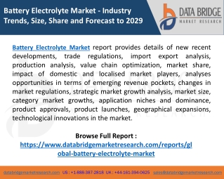 Global Battery Electrolyte Market
