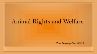 Animal Rights and Welfare-Zoe Zeynep Calzatti LA