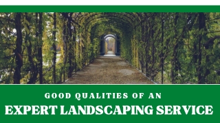 Experience Customized and Innovative Landscaping Services