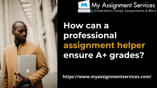 How can a  professional assignment helper ensure A  grades?