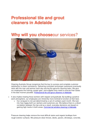 Professional tile and grout cleaners in Adelaide