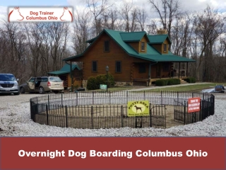 Overnight Dog Boarding Services in Columbus Ohio