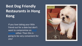 Best Dog Friendly Restaurants in Hong Kong
