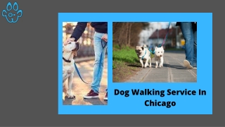 Dog Walking Service In Chicago