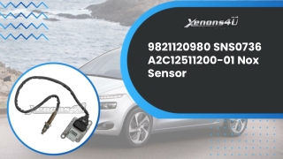 Peugeot Citroen 9821120980 Nox Sensor