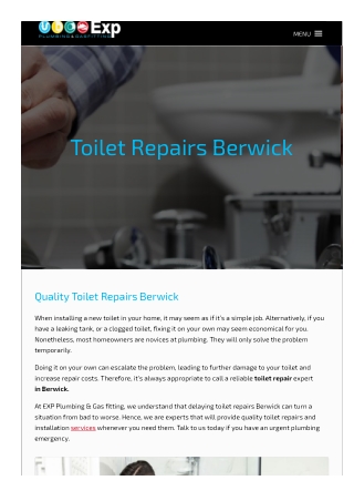 Toilet Repairs Berwick