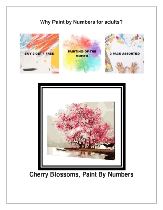Why Paint by Numbers for adults-AU