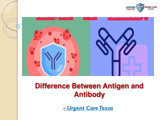 Difference Between Antigen and Antibody