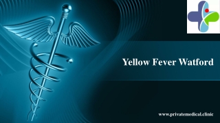 Yellow Fever Watford