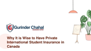 Why It is Wise to Have Private International Student Insurance in Canada