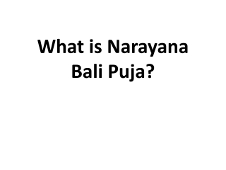 What is Narayana Bali Puja?