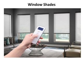 Window Shades