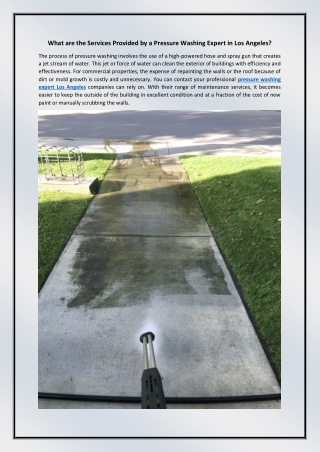 What are the Services Provided by a Pressure Washing Expert in Los Angeles