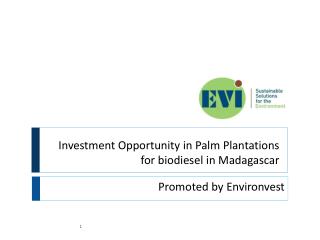 Investment Opportunity in Palm Plantations for biodiesel in Madagascar