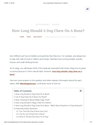 How Long Should A Dog Chew On A Bone_