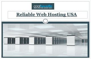 Reliable Web Hosting USA