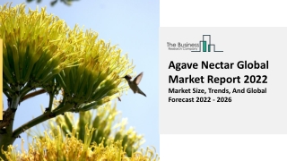 Agave Nectar Market Segmentation, Demand And Analysis Report To 2031