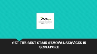 Get the Best Stain Removal Services in Singapore