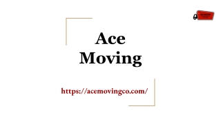 Movers Santa Cruz