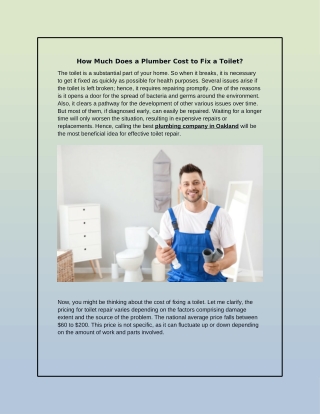 How Much Does a Plumber Cost to Fix a Toilet?