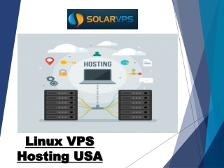 Linux VPS Hosting USA