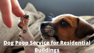 Dog Poop Service for Residential Buildings Chicago