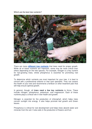 Which are the best tree nutrients