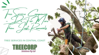 Tree Service Companies - Do Far More Than Just Removals