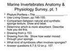 Marine Invertebrates Anatomy Physiology Survey, pt. 1