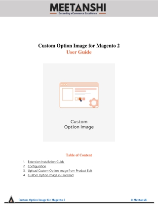 Magento 2 Custom Option Image