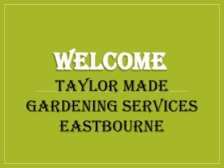 Best Lawn Care in Lower Willingdon