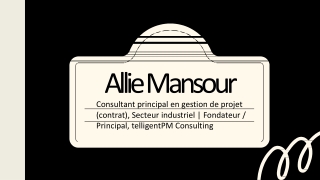 Allie Mansour - Un chef d'entreprise et consultant du Canada